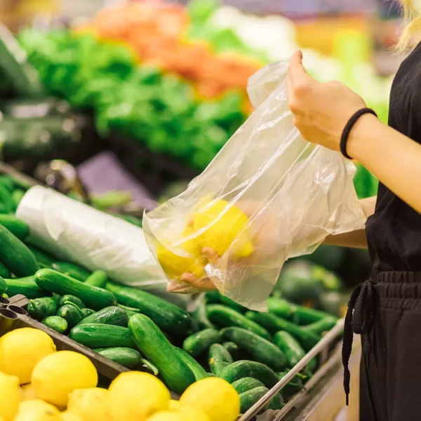 Compostable Grocery Bags